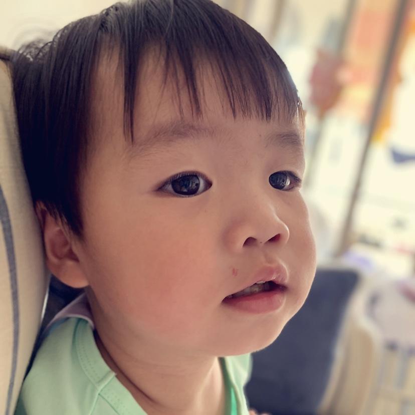 子非鱼2672
