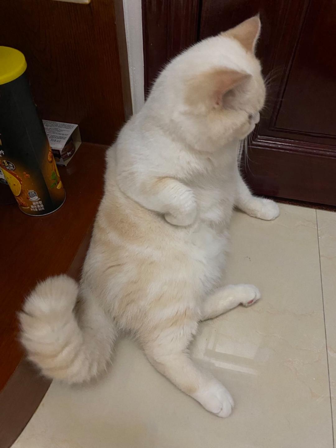 故事的小黃花_k65t