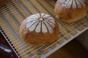 面包烘焙知识、小窍门，原创配方必备技能的做法 步骤1