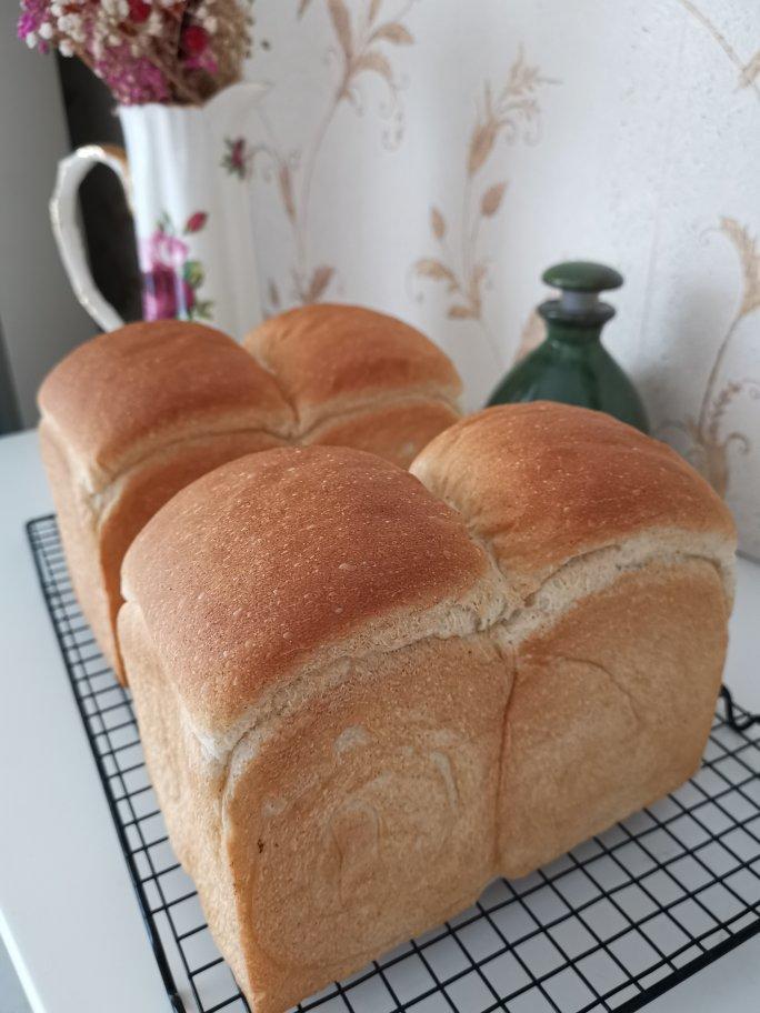 伊藤雅大的山形吐司