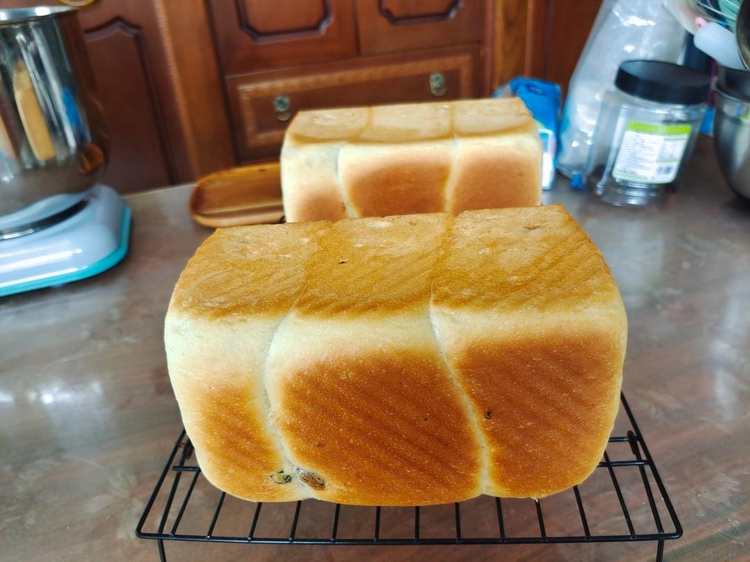 夺命软吐司(๑´ڡ`๑)超软拉丝极速方便的一次发酵吐司