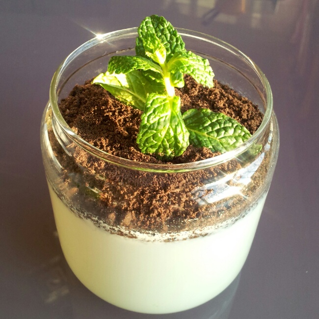 月滺滺做的盆栽酸奶