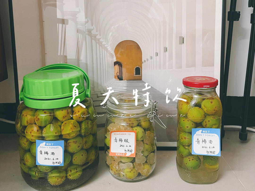 【青梅酒】梅子的沉醉时光（已填坑）