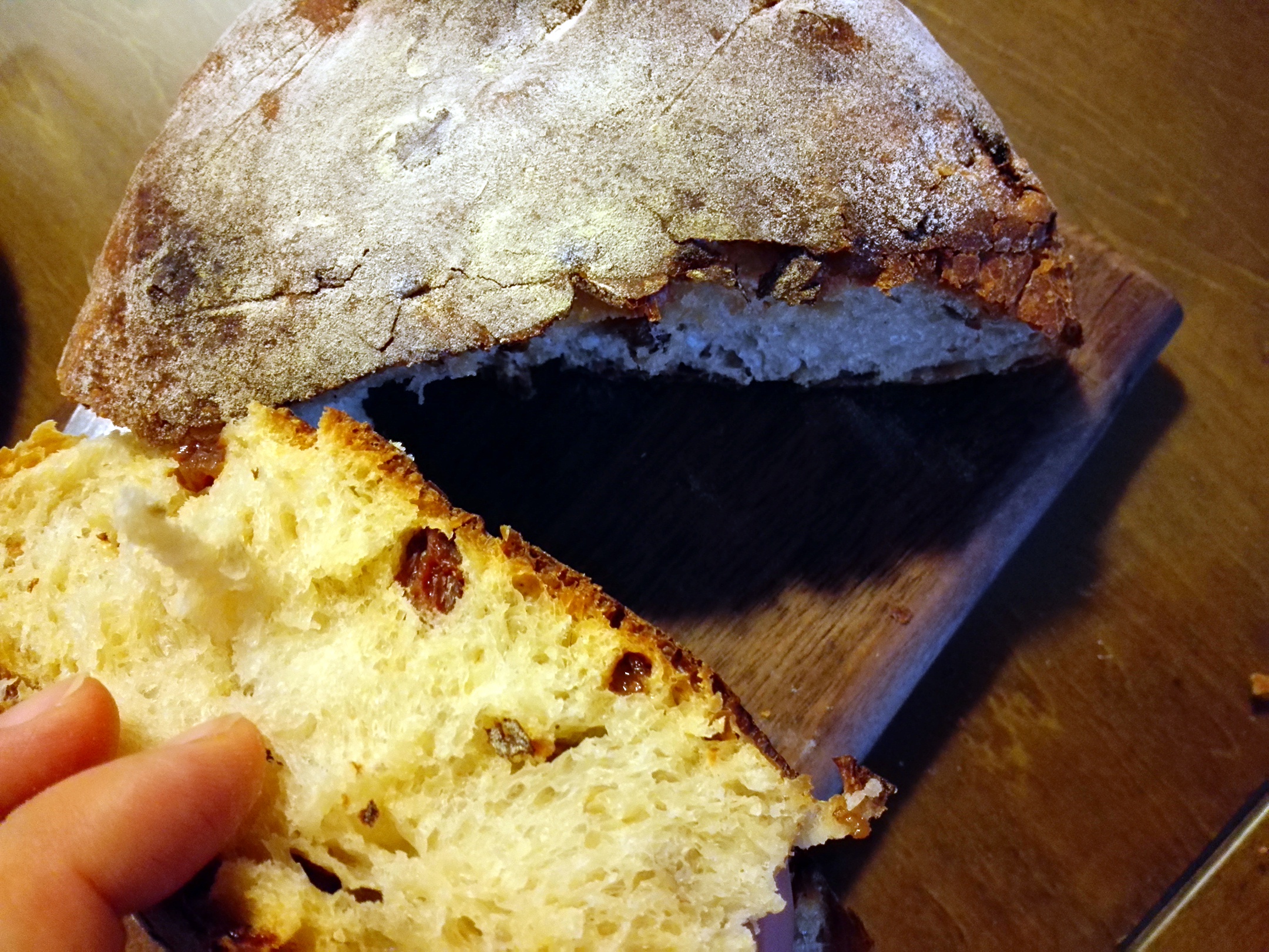 黑麦蔓越莓软欧包