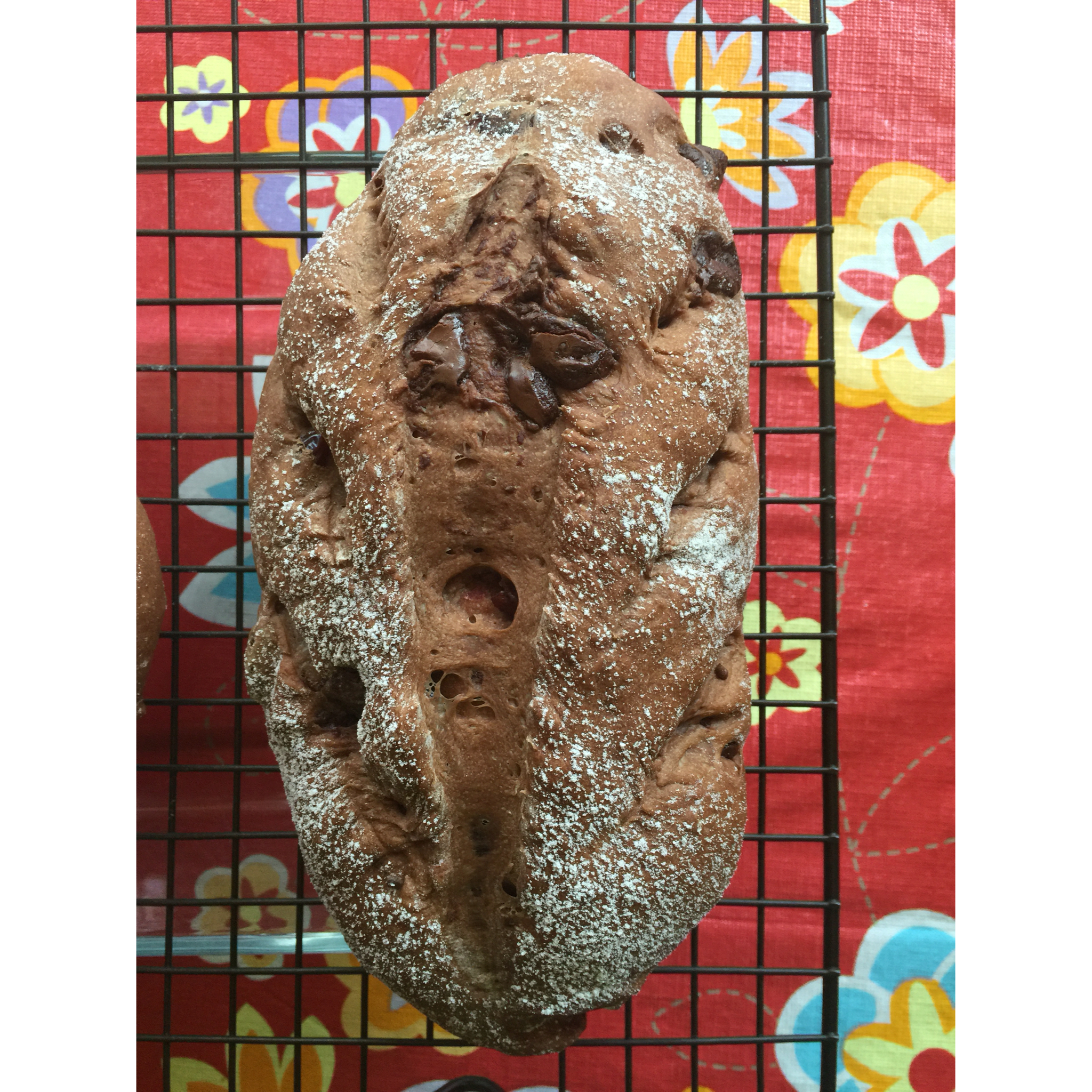 全麦可可软欧