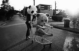 MissCuriosity