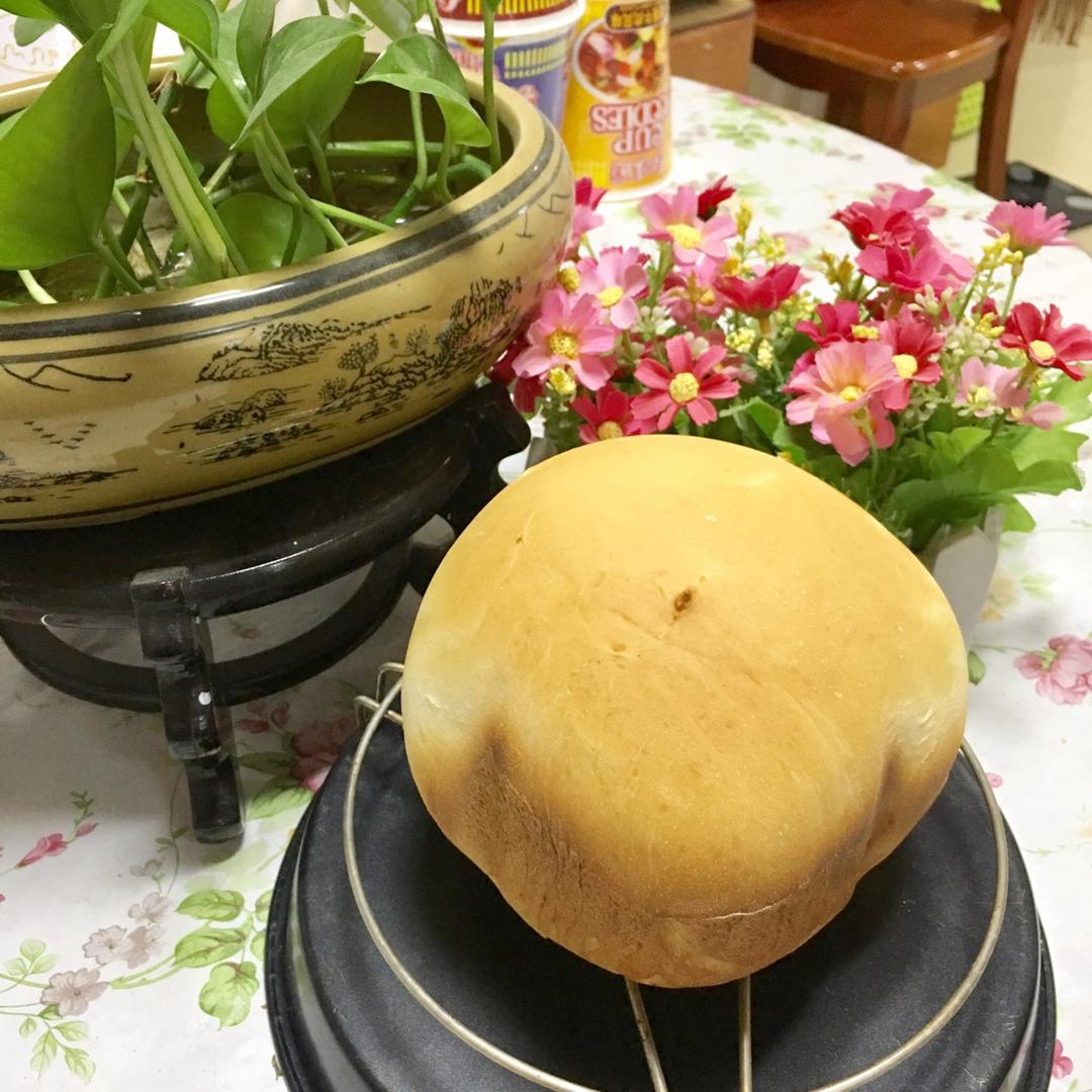 标准面包（东菱面包机）