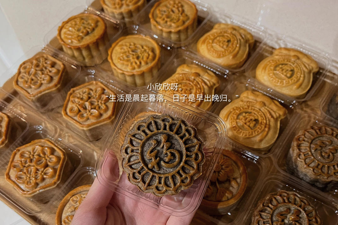 找不到合适的菜谱