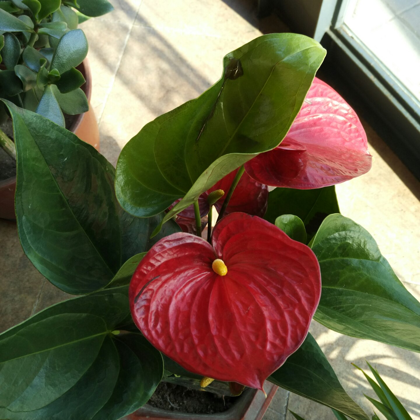 手机用户7348_y9gr