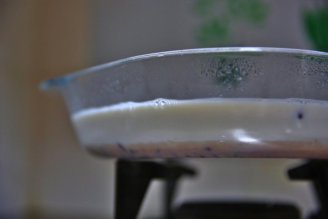 牛奶椰汁红豆糕