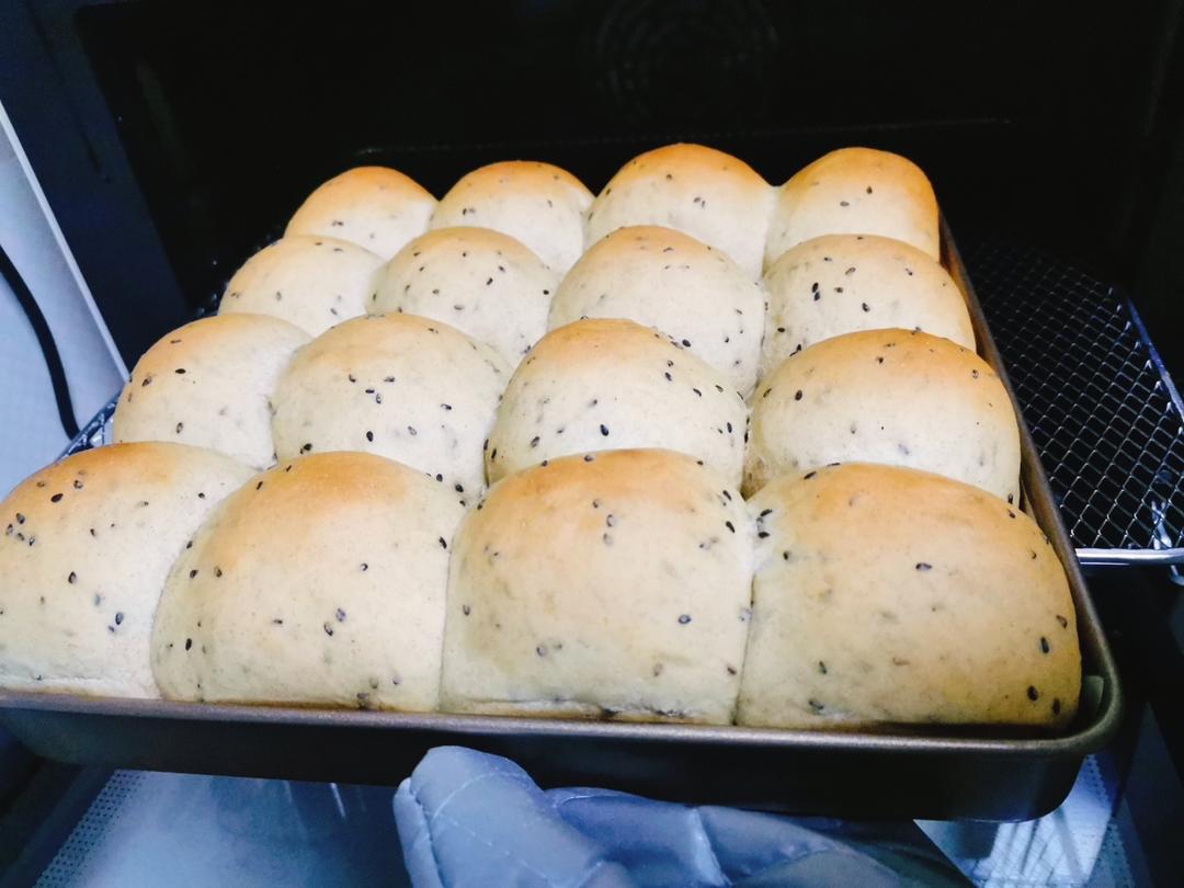 波兰种全麦面包🍞