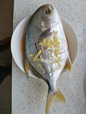 清蒸金鲳鱼的做法 步骤1