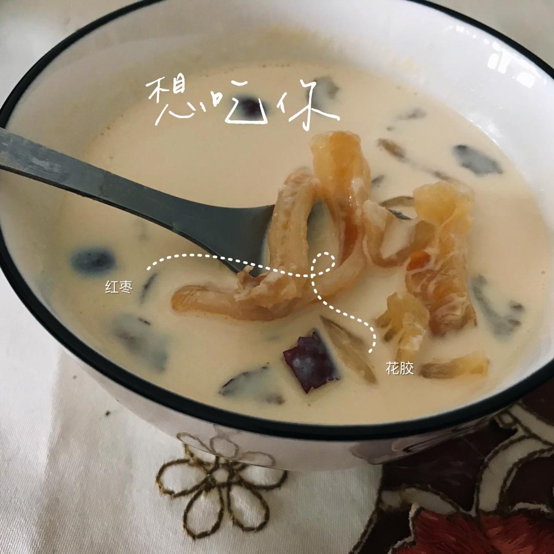 牛奶炖花胶