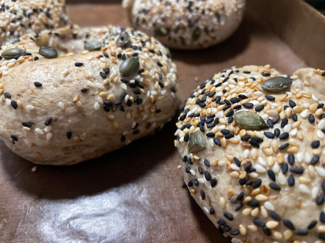 （波兰种）贝果