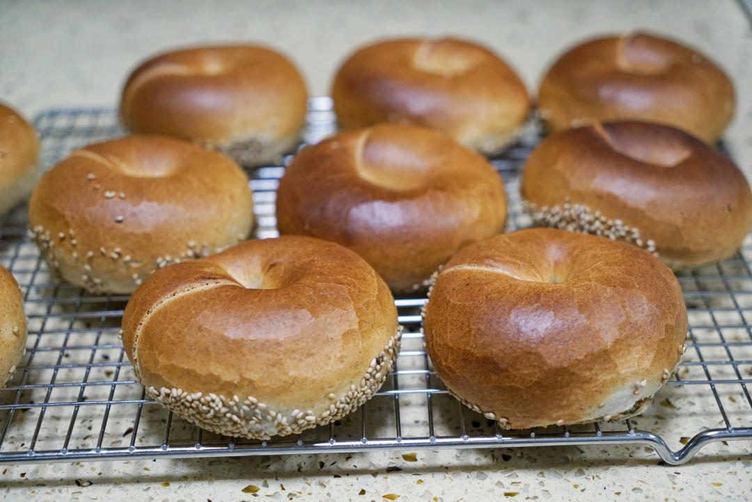 （波兰种）贝果
