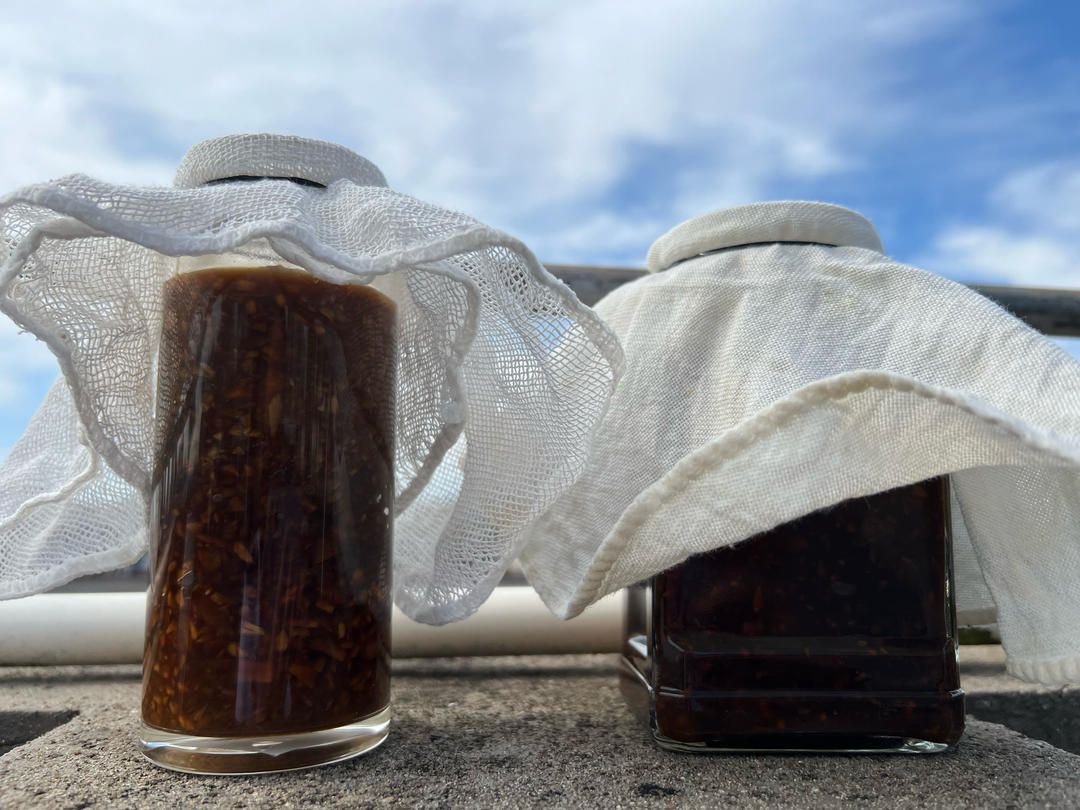 【冬病夏治】伏姜茶