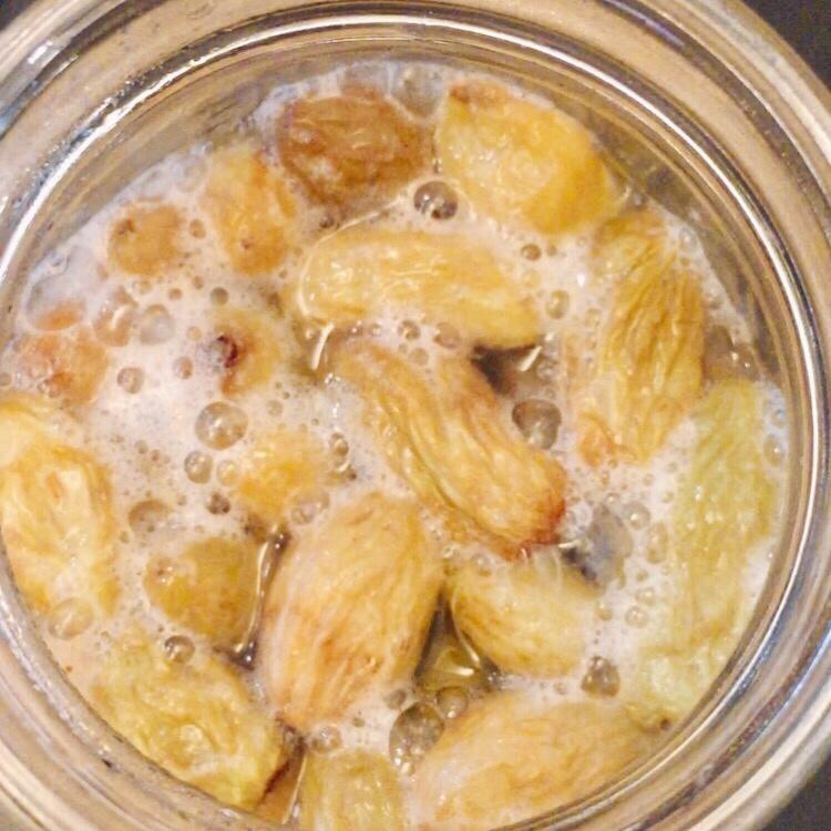 葡萄种酵母培养记录