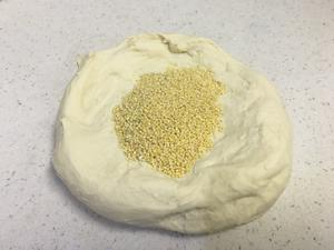 面包 | 小黄米面包的做法 步骤3