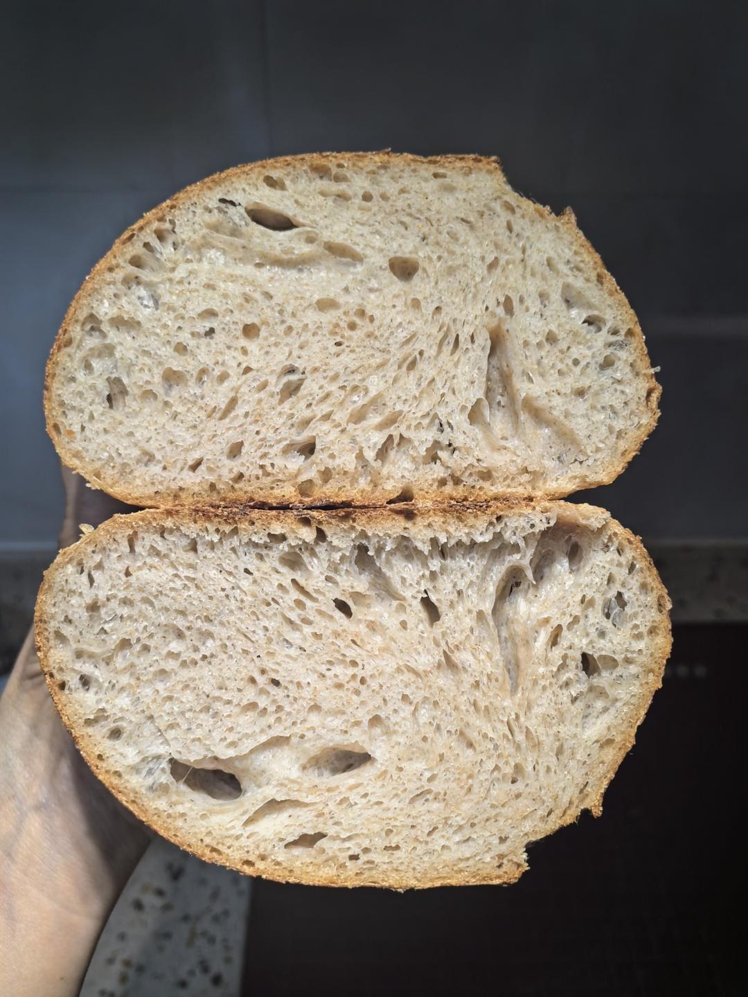 天然酵母全麦乡村（添加老面，隔夜制作法）