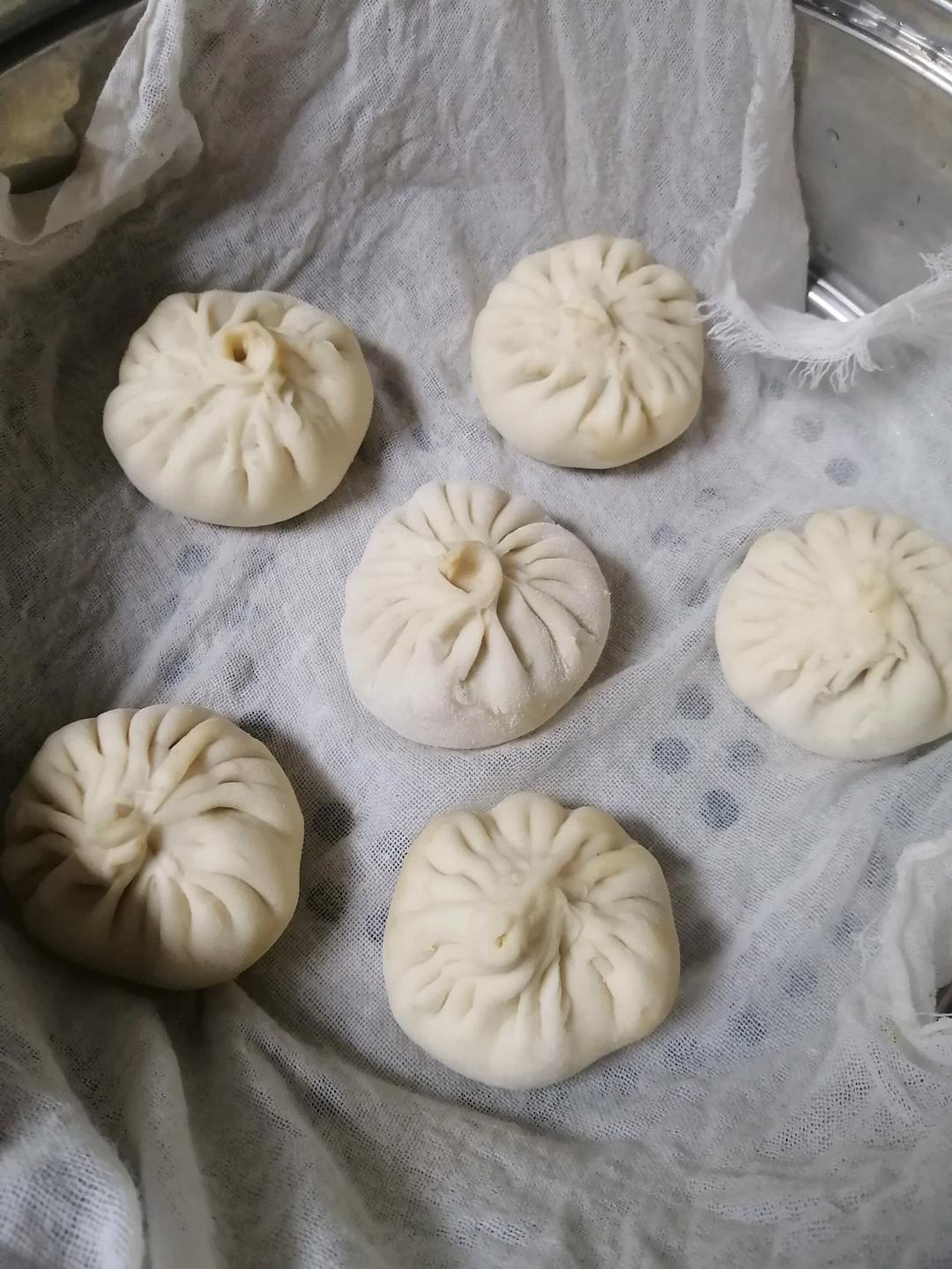 一次发酵肉包子