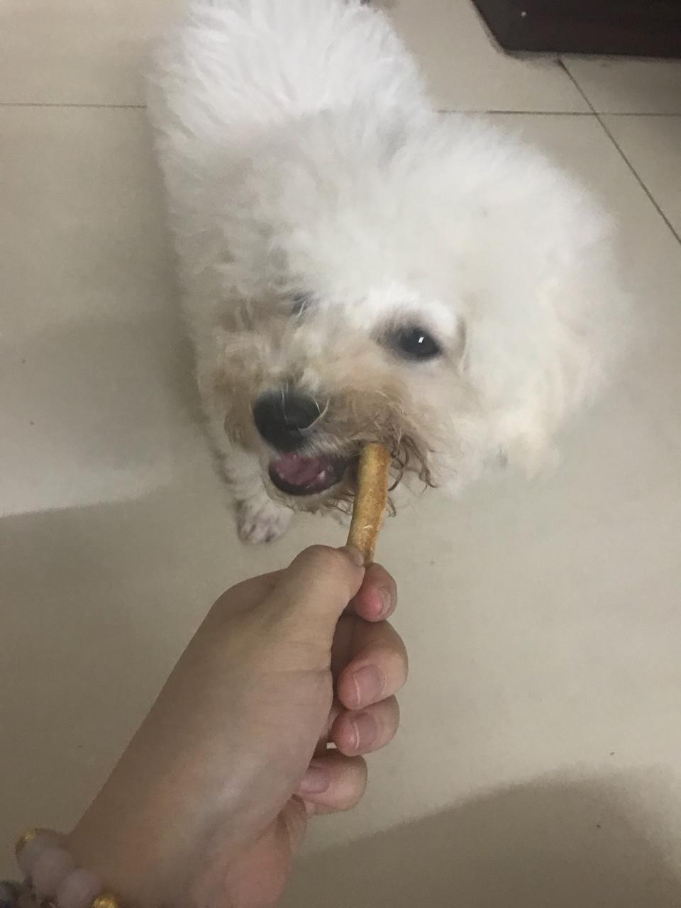 宠物零食—阿拉棒