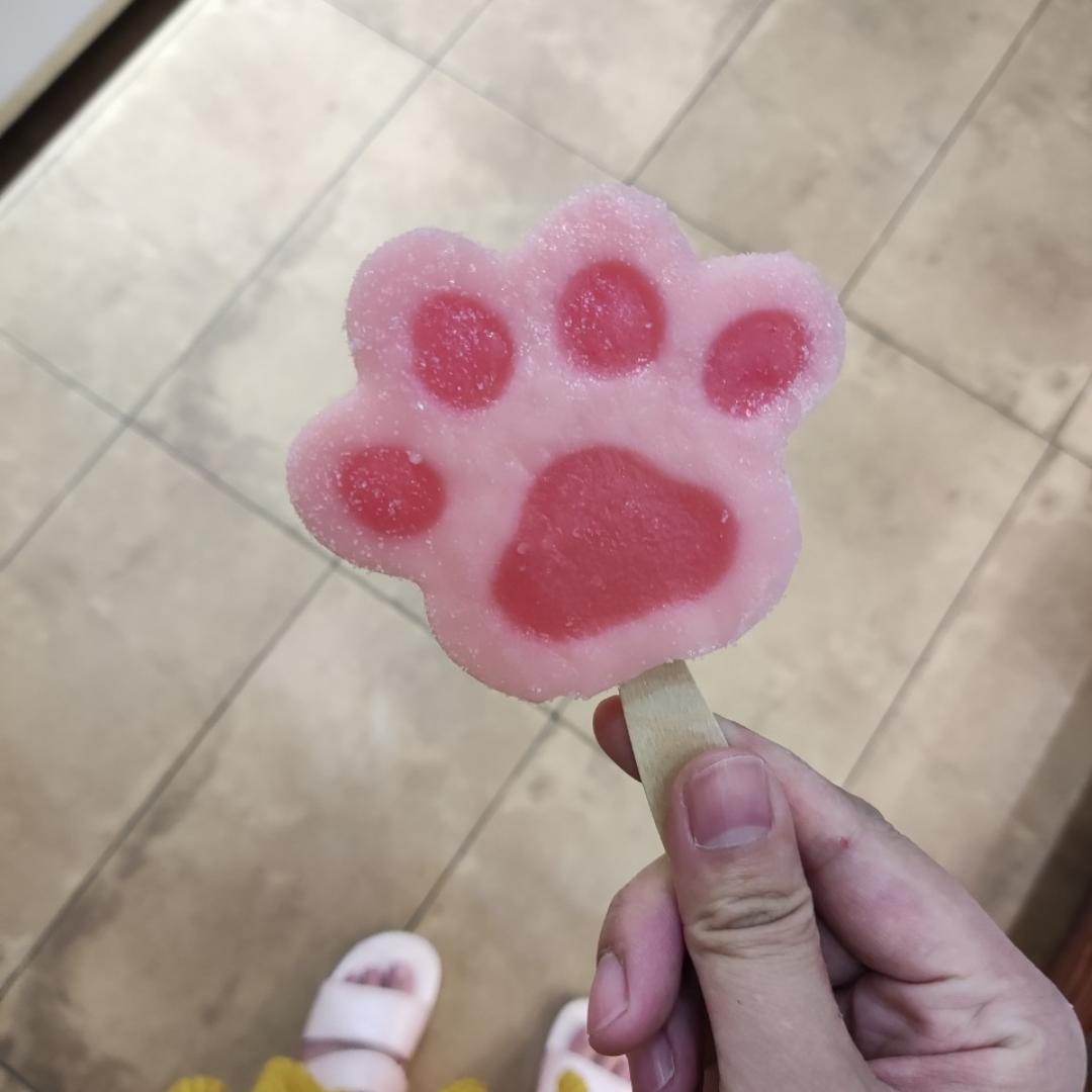 美美仙子爱下厨