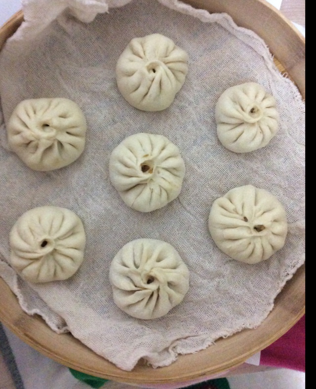 家常蒸包子（新手必学 超详 各式花卷馒头适用）