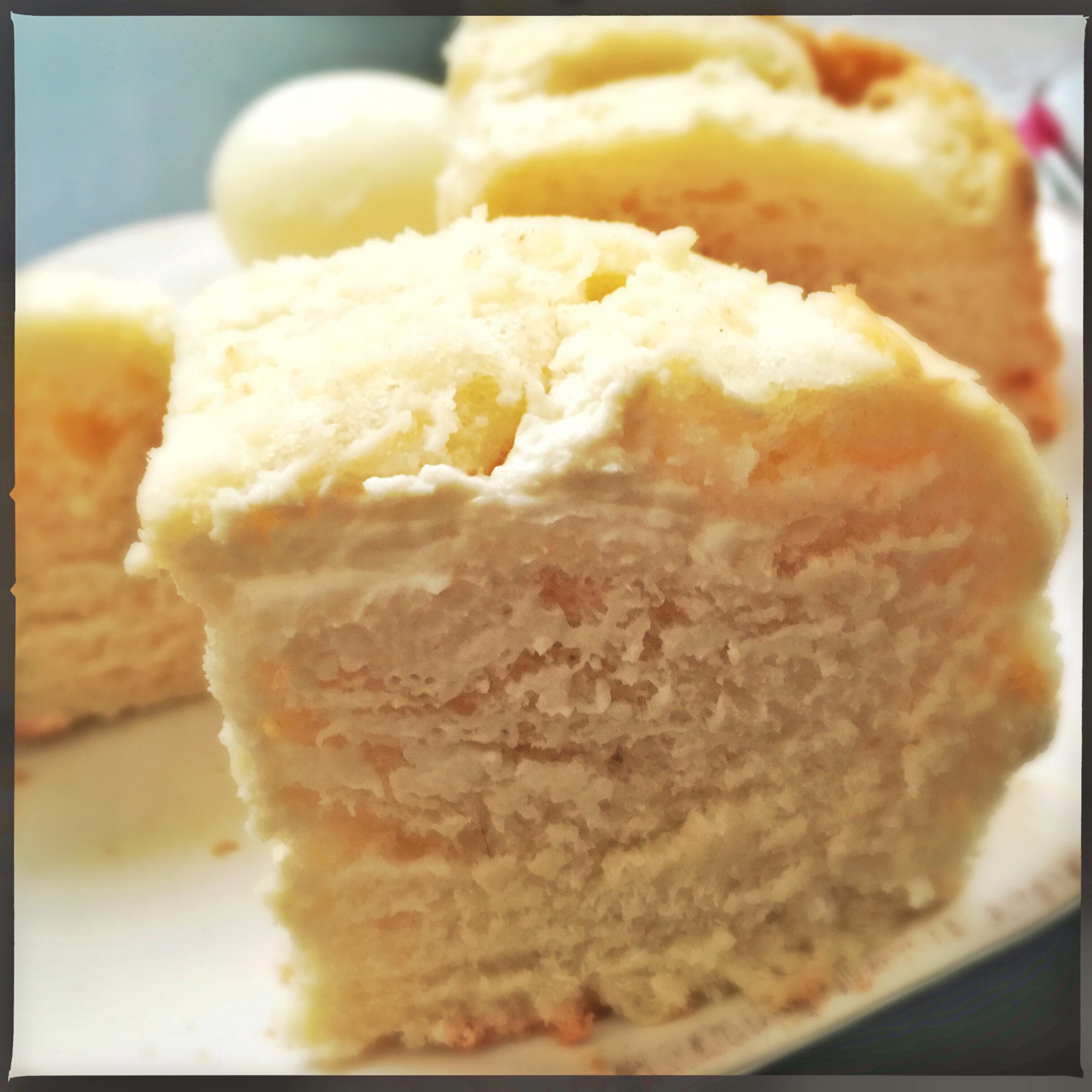 奶酪包---跟风火到一个不行的包包