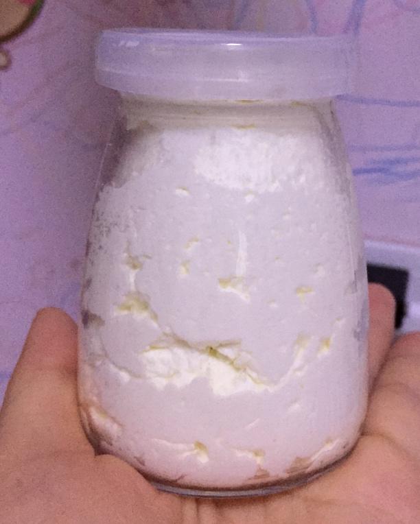 自制新鲜乳酪