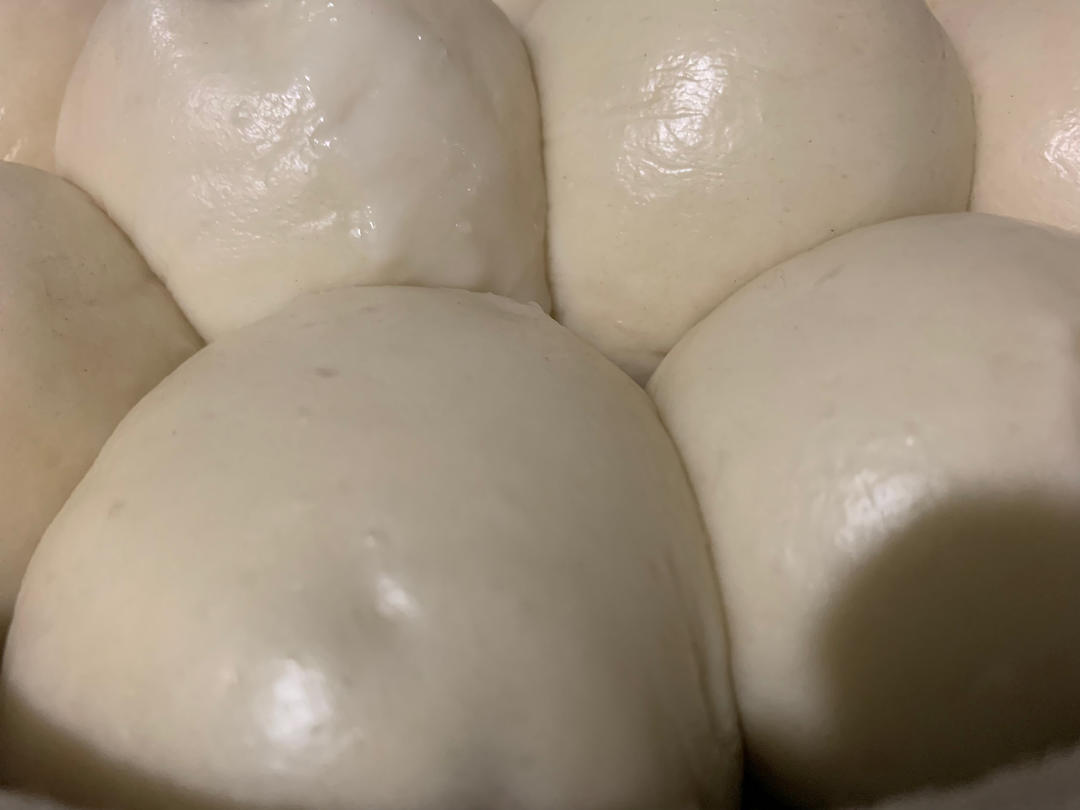 烫面馒头（一次发酵，个个水光肌）