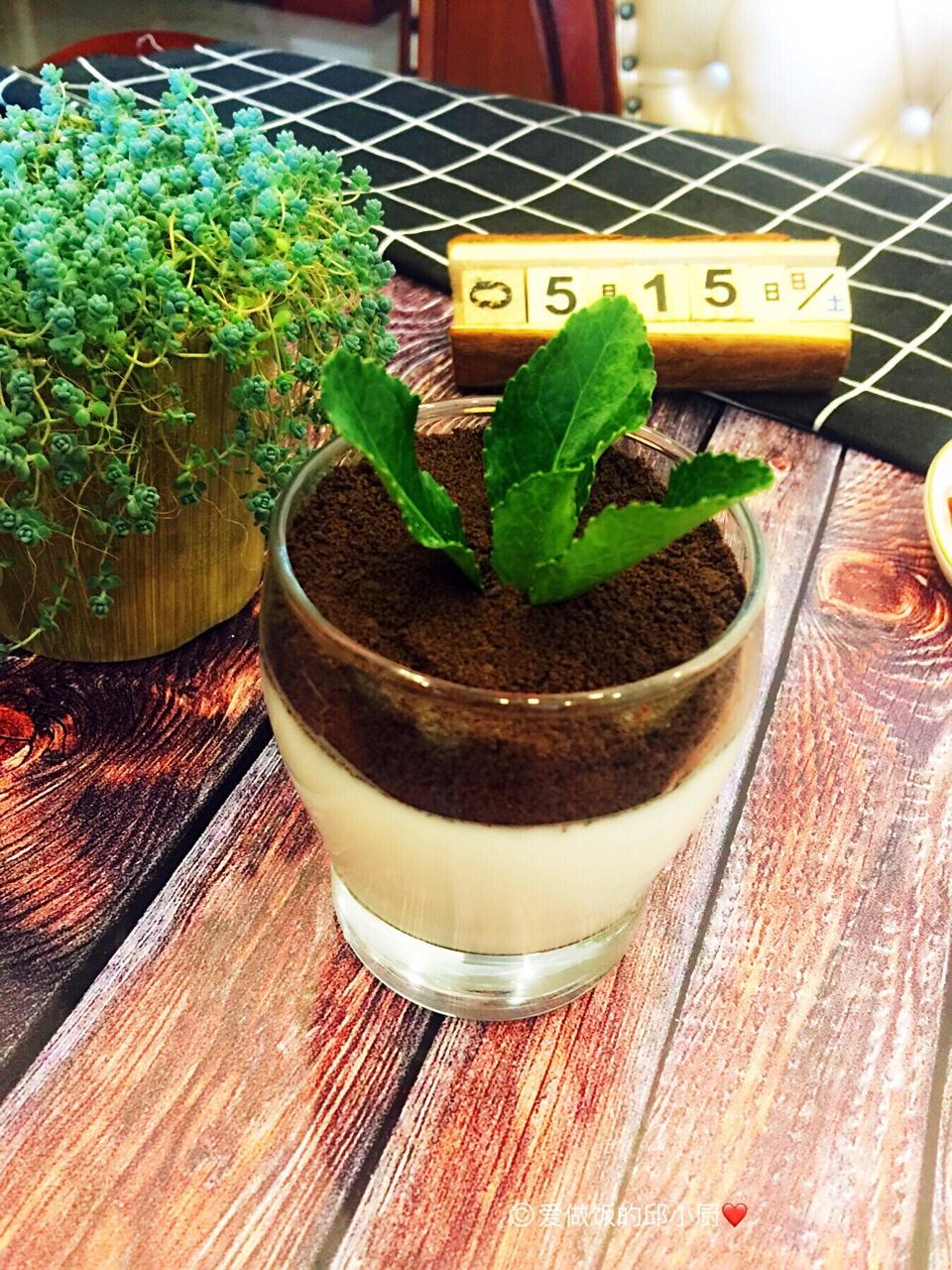 爱做饭的邱小厨做的盆栽酸奶
