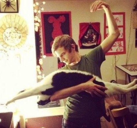 bf的小饭盒的做法