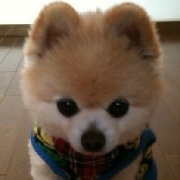 李小小小小小-L