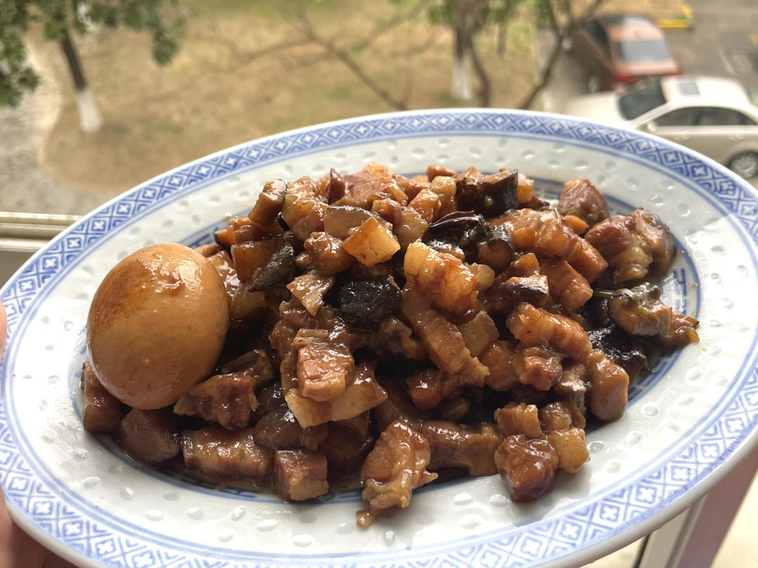 好吃到停不下来的卤肉饭