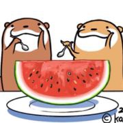 大圆脸青云