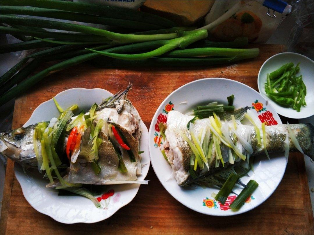 新手零失败的清蒸鲈鱼