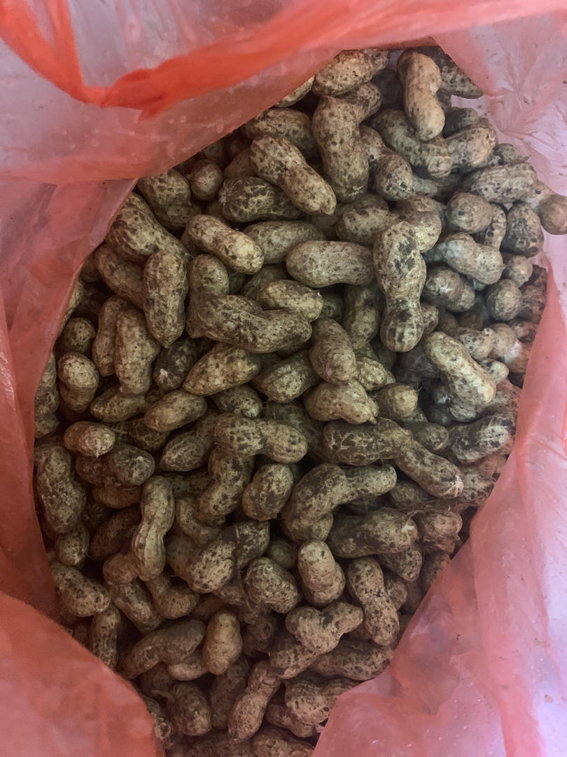 卤煮花生