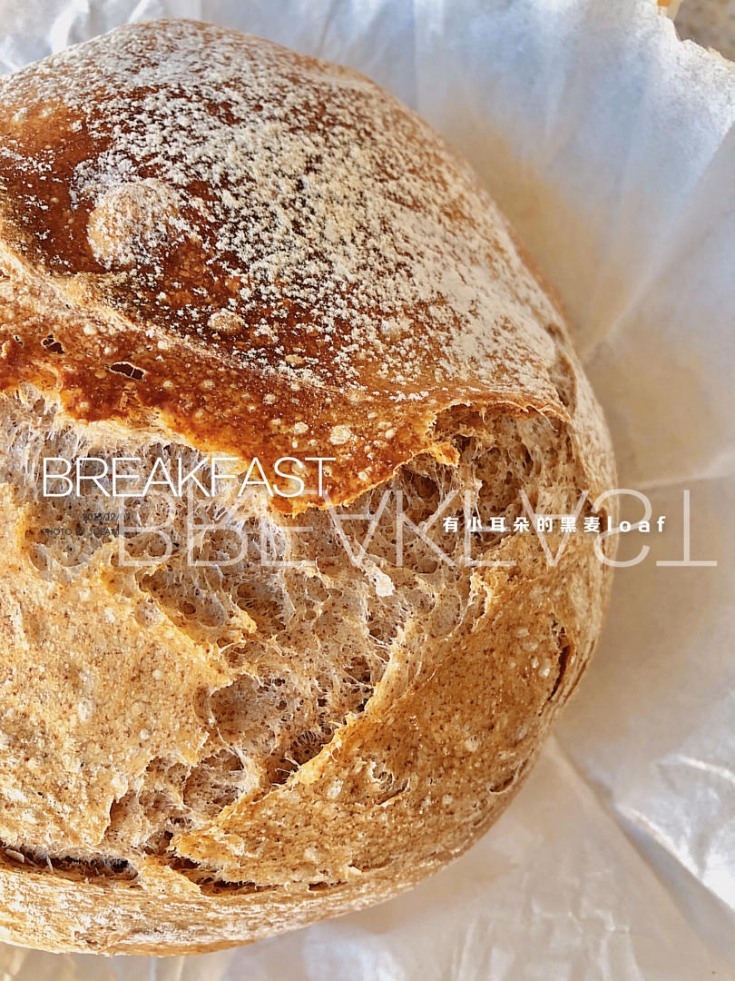绝密！8分钟，8块钱，吃8天的正宗欧包loaf来了！
