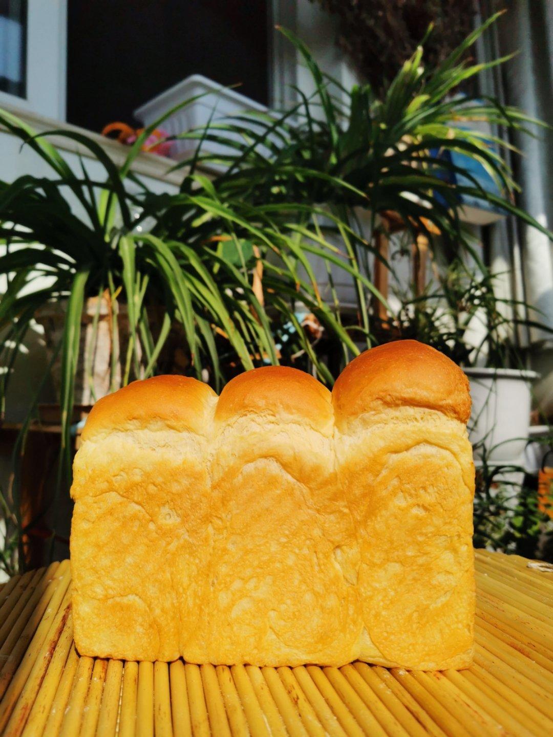 北海道吐司（中种法）