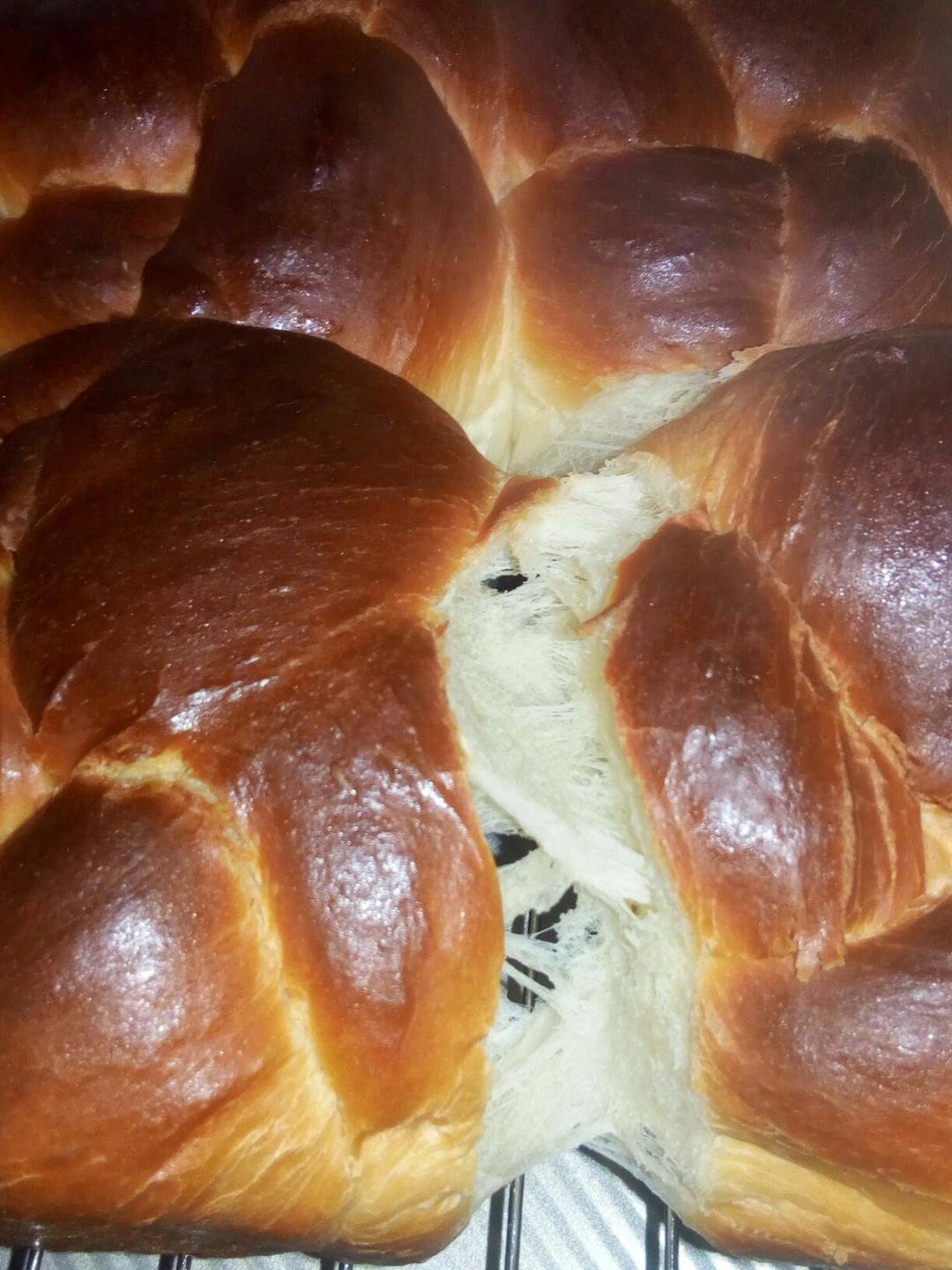 【爱和自由】老面包