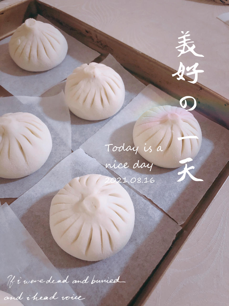 提褶包 包教包会的包子