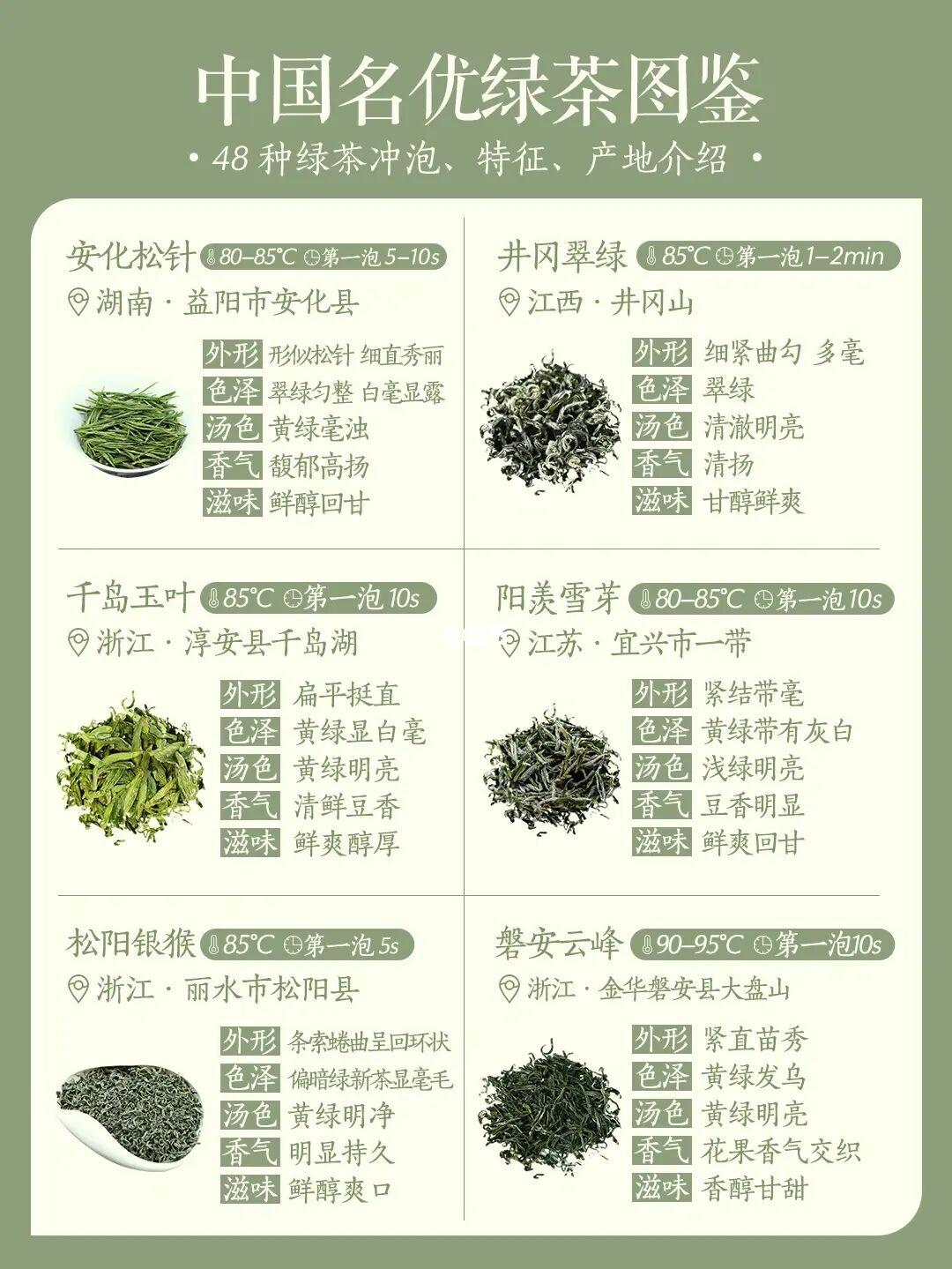 绿茶的冲泡的做法 步骤7