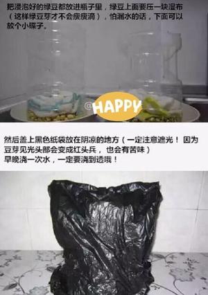 自制健康无毒的懒人版纯绿色豆芽（0失败）4天就可以吃到喽的做法 步骤4