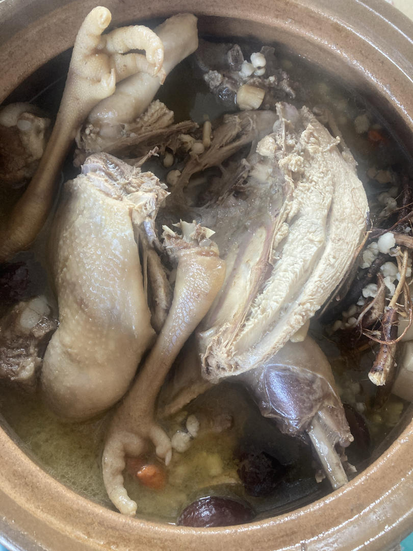 五指毛桃鸡汤