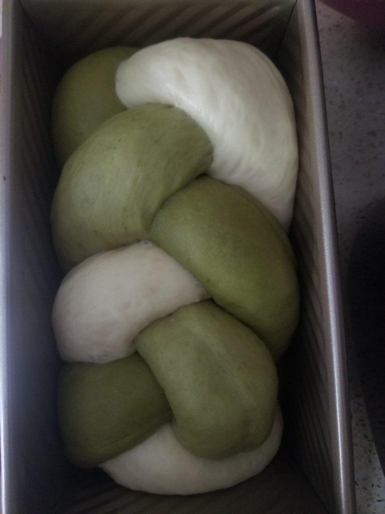 渐变三色抹茶吐司（波兰种）