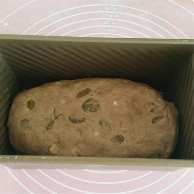Malt Loaf 【保罗教你做面包S01E01】的做法 步骤8