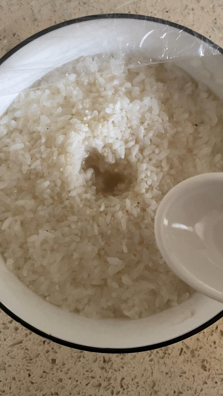 酒酿 (酒酿系列一）