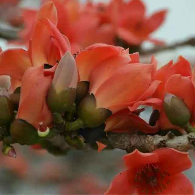 手机用户7642_15ga