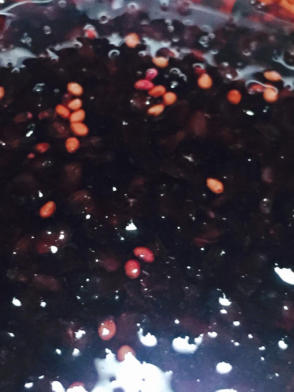 水开菲尔汽水丨调味篇