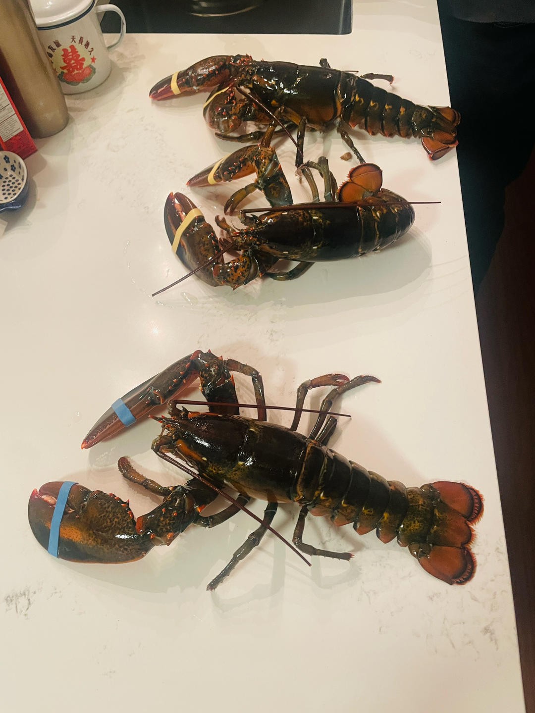 详细完整版焗烤澳洲龙虾（澳龙）
